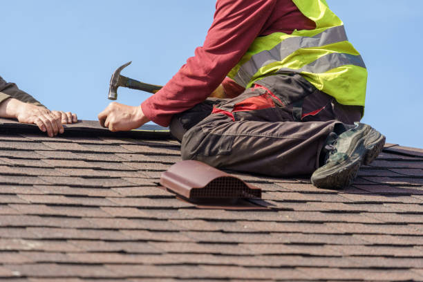 Best Metal Roofing Contractor  in La Nte, MO