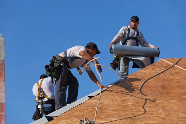 Best Roof Inspection Near Me  in La Nte, MO