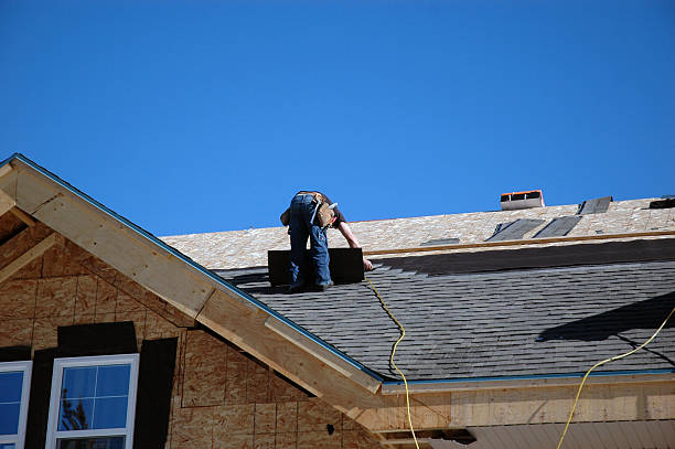 Best Roof Gutter Cleaning  in La Nte, MO