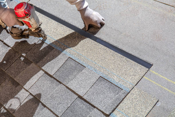 Best Storm Damage Roof Repair  in La Nte, MO