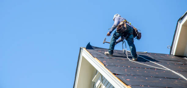 Professional Roofing Contractor in La Monte, MO
